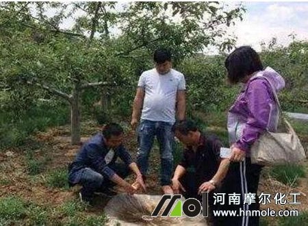 �ך����m������