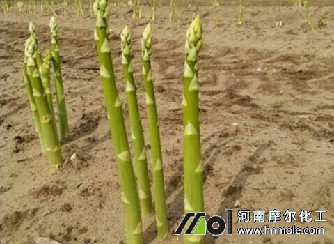 �J�S��l��