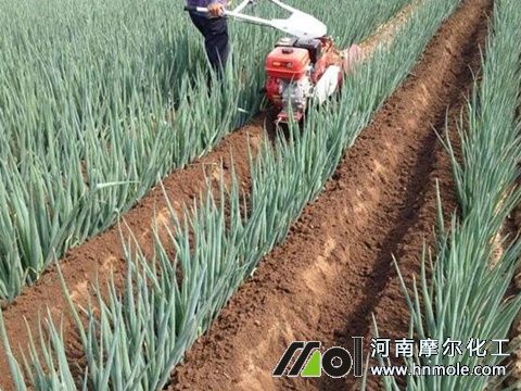 ���[�������a��ʲô��