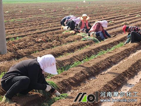 ���[ʲô�r��Nֲ��