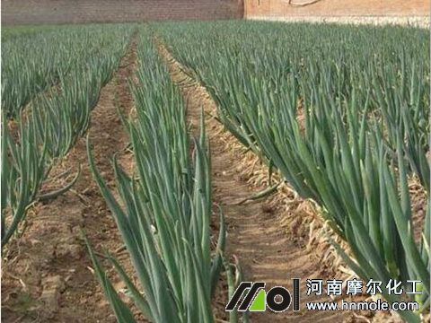 ���[�Nֲע��