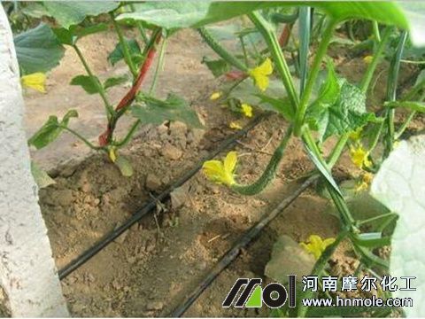 �S�ϵι�ʩˮ�ܷ�