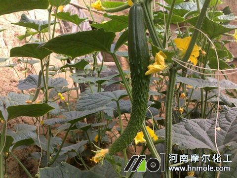 �S��ʩ��ע��