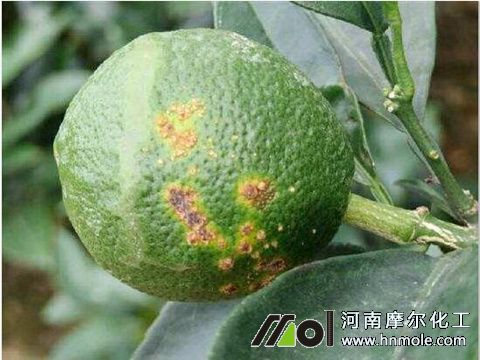 ����������r�I�ϑ���