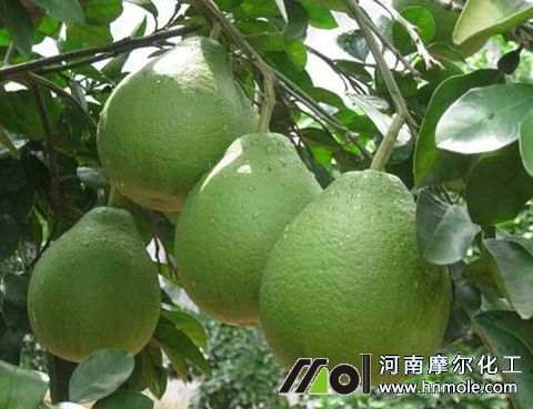 ���Ә�(sh��)ʩʲô��