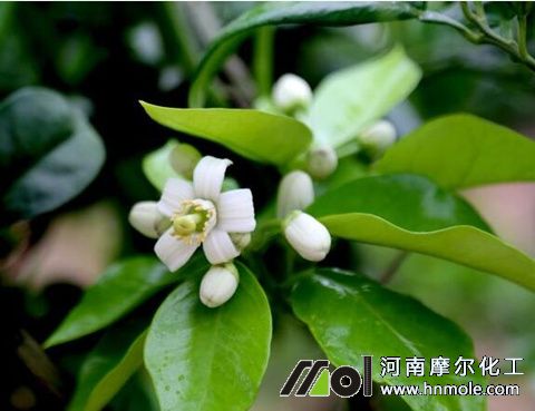 ���Ә�(sh��)�_(k��i)��