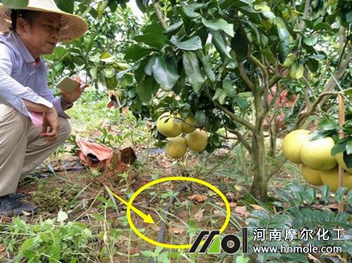 ���ӵι�ʩˮ�ܷ�