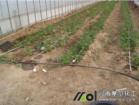 ˮ�ܷʵι�ע��