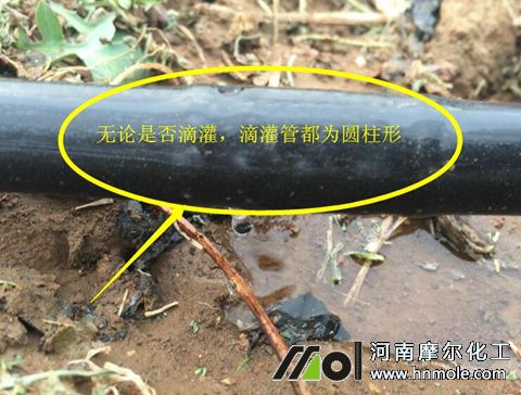 ��(n��i)�ʽ�ι��