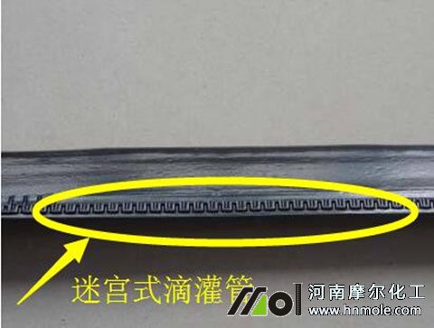 �Ԍmʽ�ι���