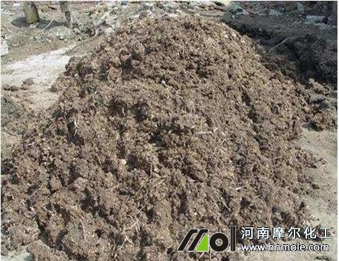 �Nɏźʩʲô��