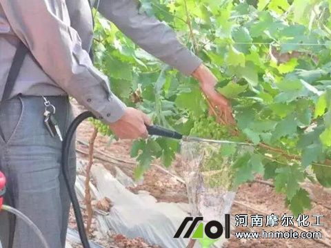 �S��׷��ע��