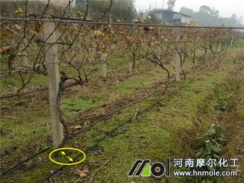 ���ј�������ʲô����