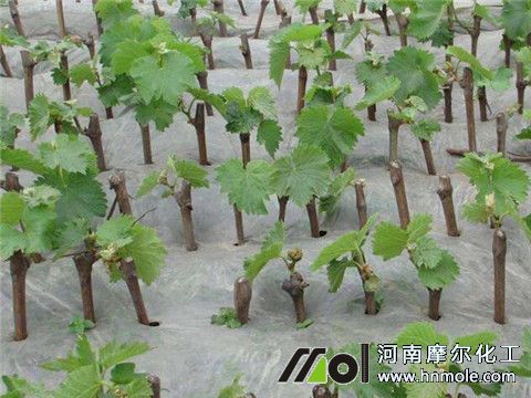 ����ˮ�ܷ��÷�