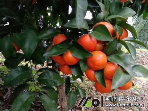 ˮ�ܷ�ϡጷ���