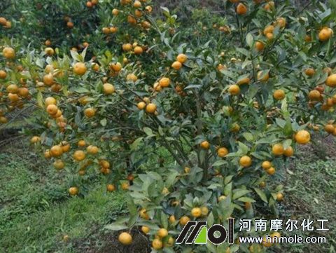 ˮ�ܷ�ʹ��ע��