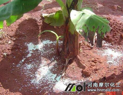 ˮ���Թ���÷�