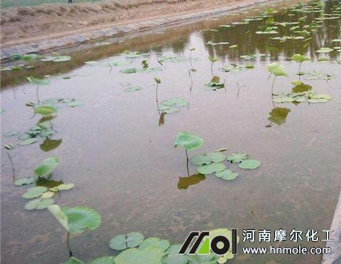 ɏźʩ��ע��