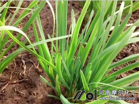 �����²˛_ʲôˮ�ܷ�