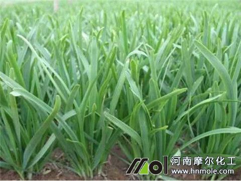 �²�һ����ʩ����