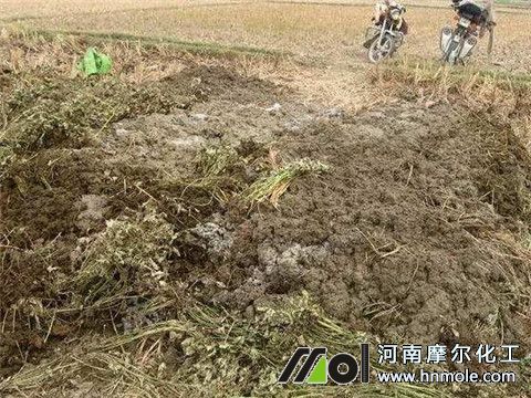 ���[��ʲôˮ�ܷ�