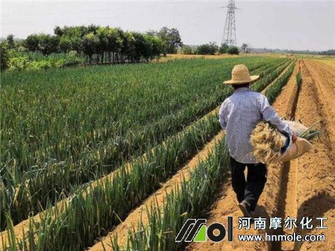 ���[��ʲôˮ�ܷ�