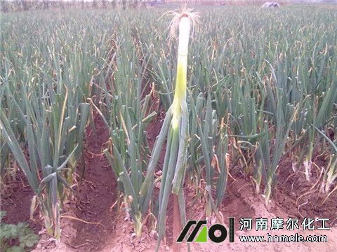 ���[ʩ�ʷ���