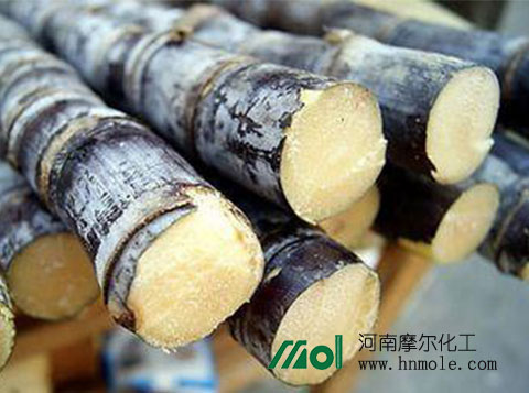 ����ʩʲôҺ�w��