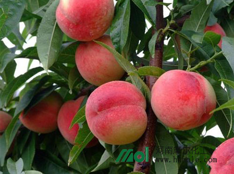 ����ʩʲôˮ�ܷ�