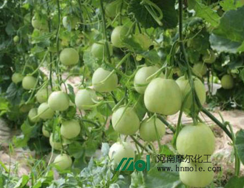 ���ʩˮ�ܷ�