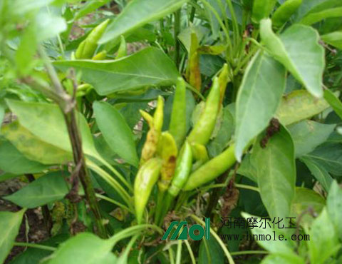 �����S�~