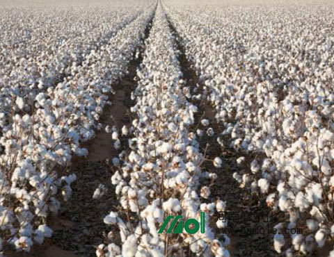 �޻�ʩˮ�ܷ�