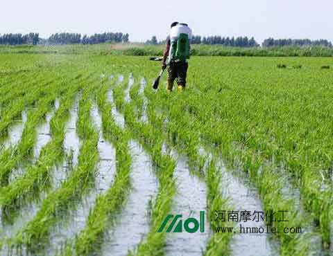 ˮ����������