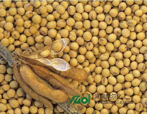 大豆施肥 大豆施肥