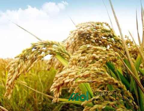 ˮ��ʩ������