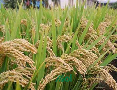 ˮ��ʩ�ʕr�g