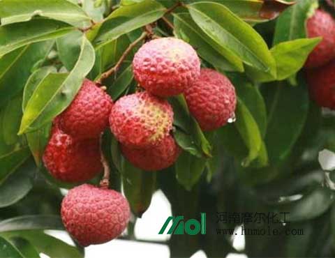 ��֦�����~���