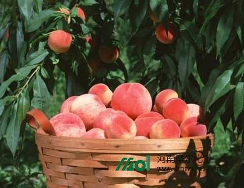 �����~���