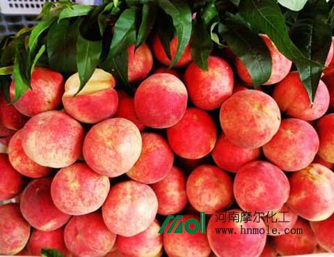 ����ʩ��