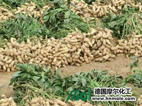 ����ʩ��