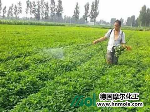 ����ʩ�ʽ��h