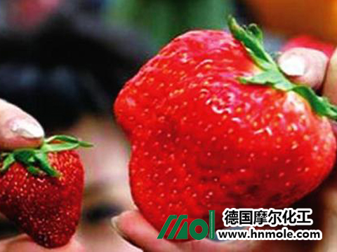 ��ݮ�~���