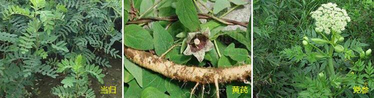 ���������m��ˎ������