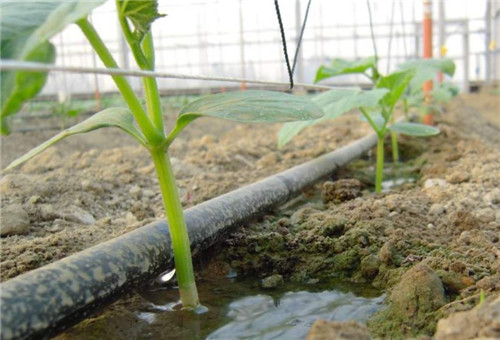 ˮ�ܷʵι�ʩ��