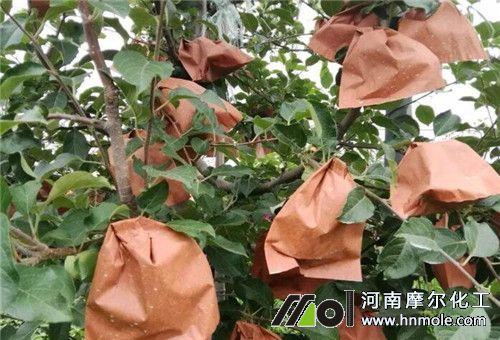 �O�������ʩ��