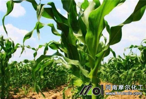 ����׷�ʕr��