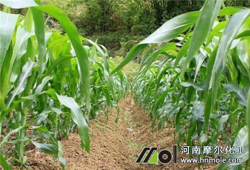 ����Һ�w���÷�