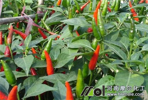 ����ʩ΢��Ԫ�ط�Ч��