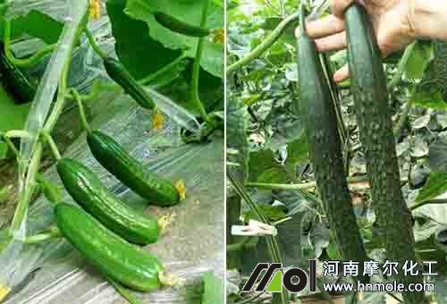 �S�ϴ�СƷ�N