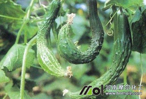 �S�������Բ������L